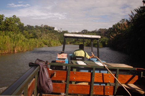 Corcovado Forest Hike-3990