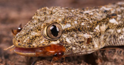 A1C96B34-815A-46FD-B7BB-6AE754BBF499